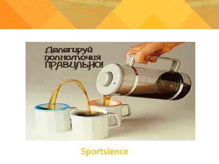 Sportsience 