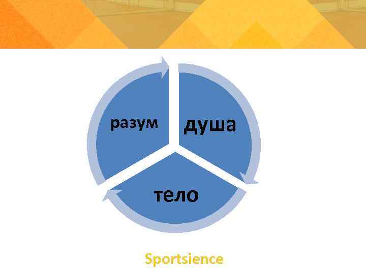 разум душа тело Sportsience 