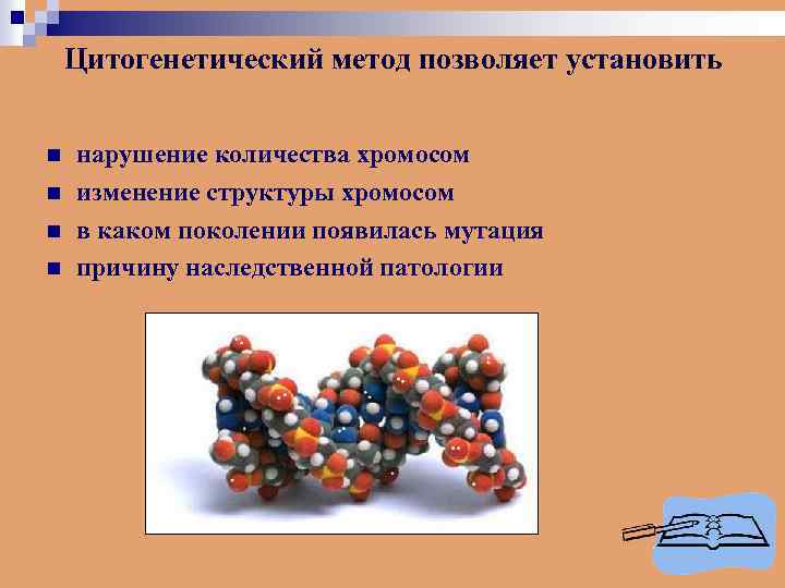 Цитогенетический метод позволяет установить n n нарушение количества хромосом изменение структуры хромосом в каком