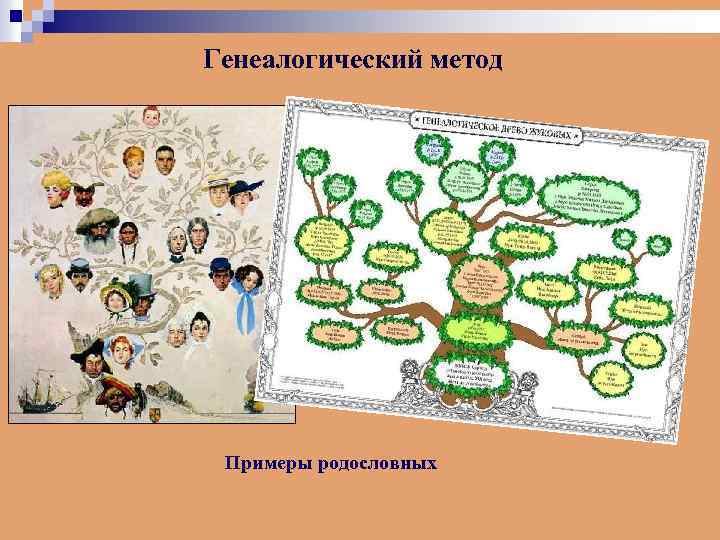 Генеалогический метод Примеры родословных 