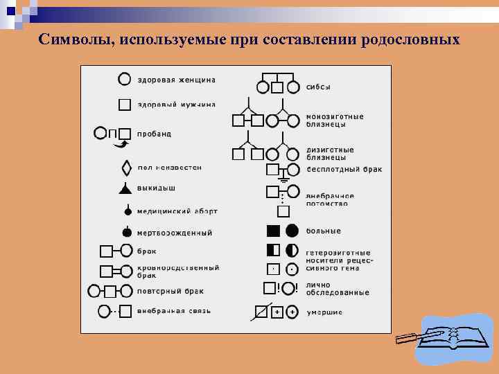 Символы, используемые при составлении родословных 