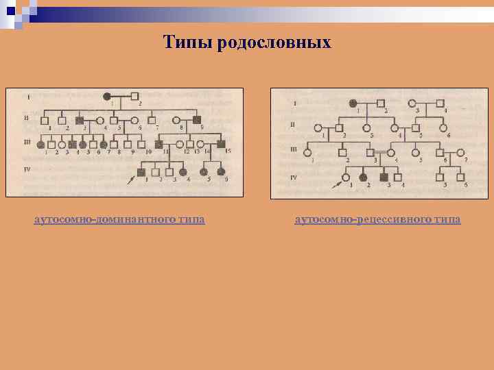 Типы родословных аутосомно-доминантного типа аутосомно-рецессивного типа 