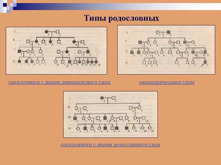 Типы родословных сцепленного с полом доминантного типа голандрического типа сцепленного с полом рецессивного типа