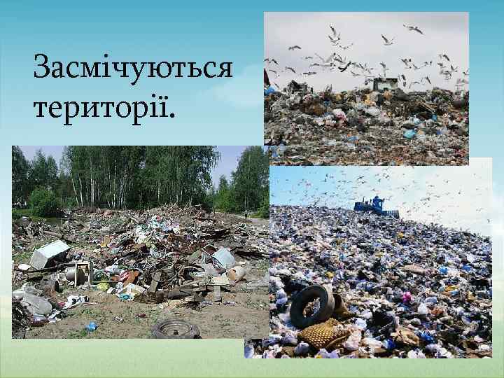 Засмічуються території. 