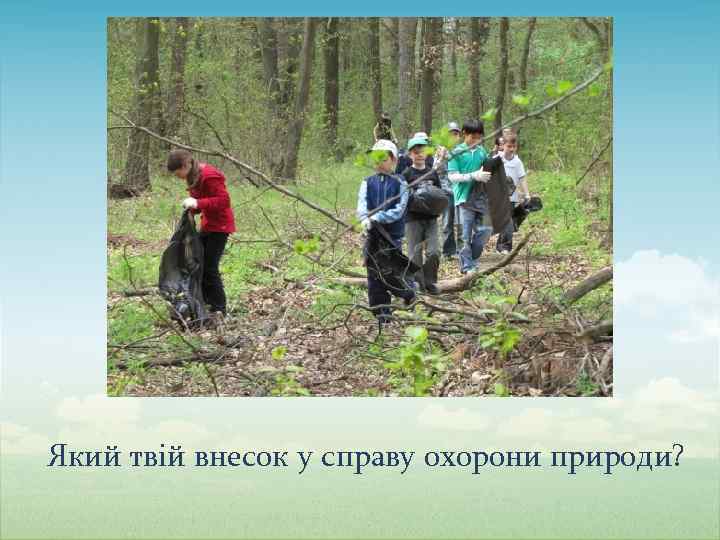 Який твій внесок у справу охорони природи? 