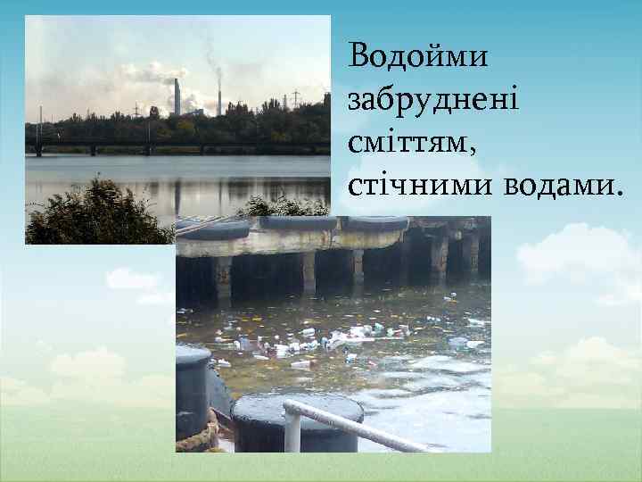 Водойми забруднені сміттям, стічними водами. 