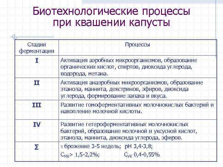 Процесс брожение капусты. Химические процессы при квашении капусты. Какой биохимический процесс происходит при квашении капусты и почему. Увеличение сроков хранения при квашении. В процессе квашения капусты выделяется кислота.