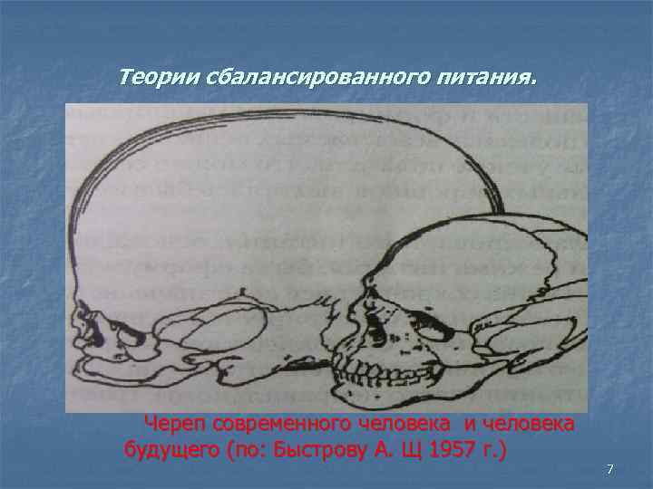 Теории сбалансированного питания. Череп современного человека и человека будущего (по: Быстрову А. Щ 1957