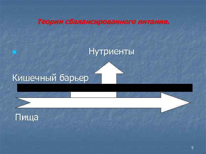 Теории сбалансированного питания. n Нутриенты Кишечный барьер пи Пища 9 