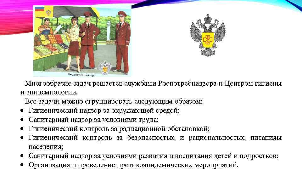 Многообразие задач решается службами Роспотребнадзора и Центром гигиены и эпидемиологии. Все задачи можно сгруппировать