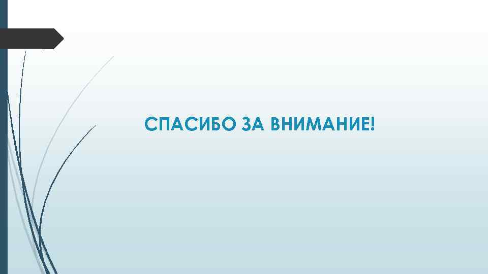 СПАСИБО ЗА ВНИМАНИЕ! 