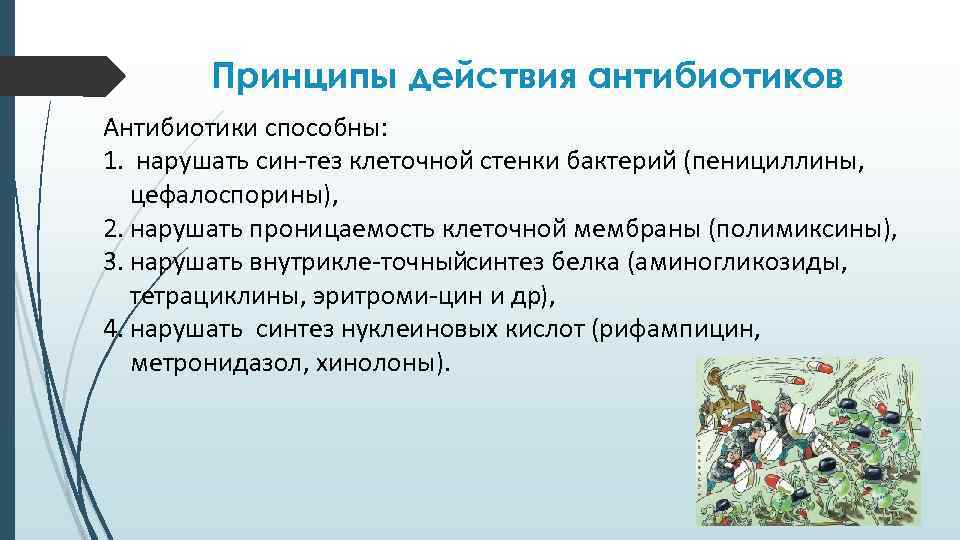 Принципы действия антибиотиков Антибиотики способны: 1. нарушать син тез клеточной стенки бактерий (пенициллины, цефалоспорины),