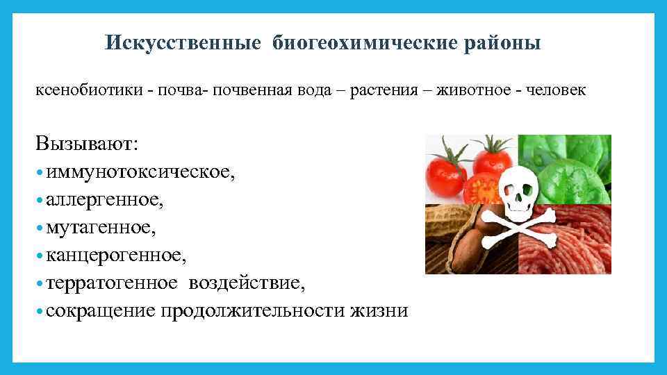Искусственные биогеохимические районы ксенобиотики - почва- почвенная вода – растения – животное - человек