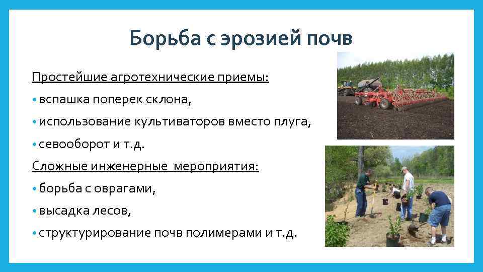 Как бороться с оврагами. Мероприятия по борьбе с эрозией почв. Способы борьбы с эрозией почв. Методы борьбы с почвенной эрозией. Эрозия почвы способы предотвращения.