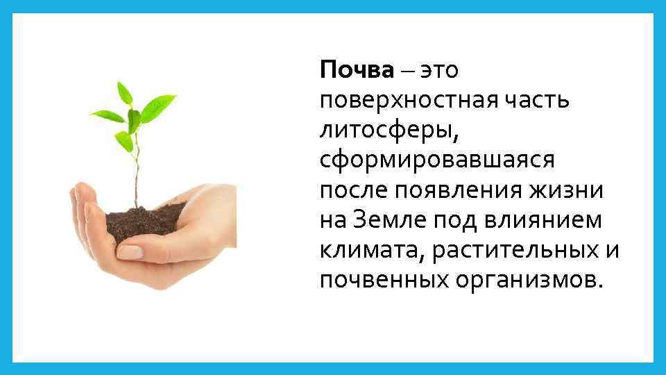 Почва – это поверхностная часть литосферы, сформировавшаяся после появления жизни на Земле под влиянием