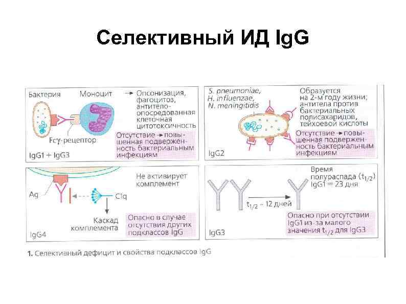 Селективный ИД Ig. G 