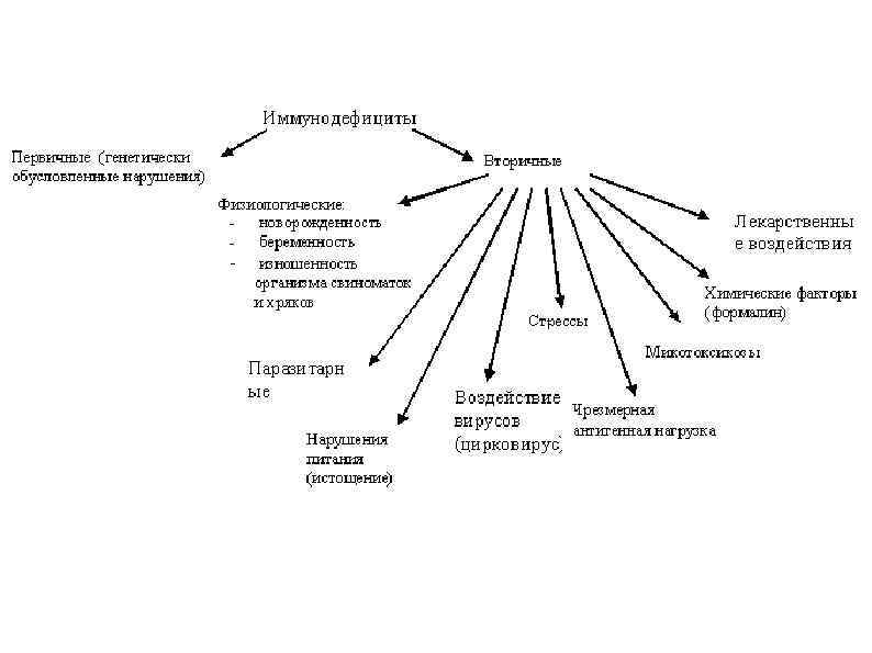 Иммунодефицитные состояния схема