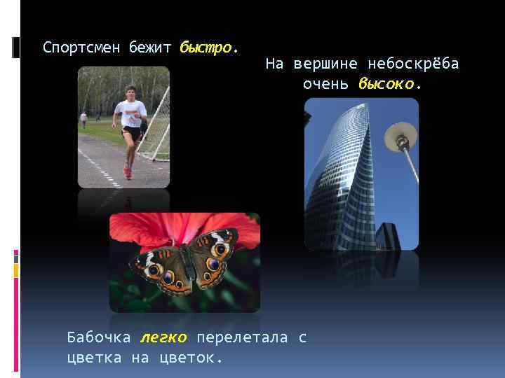 Спортсмен бежит быстро. На вершине небоскрёба очень высоко. Бабочка легко перелетала с цветка на