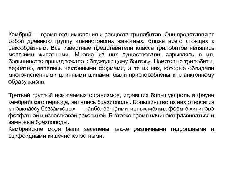 Кембрий — время возникновения и расцвета трилобитов. Они представляют собой древнюю группу членистоногих животных,