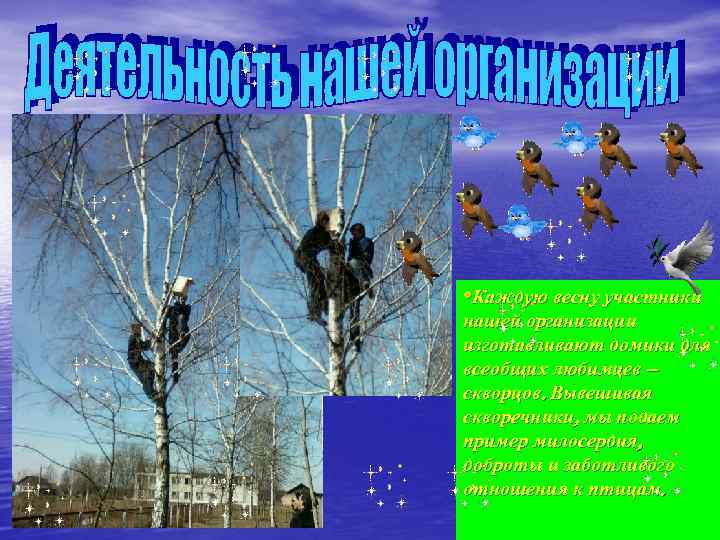  • Каждую весну участники нашей организации изготавливают домики для всеобщих любимцев – скворцов.