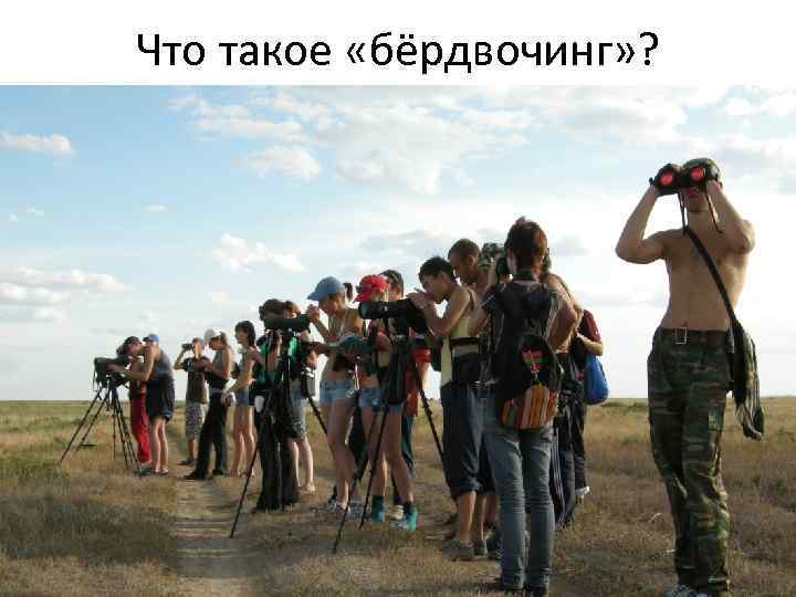Что такое «бёрдвочинг» ? 