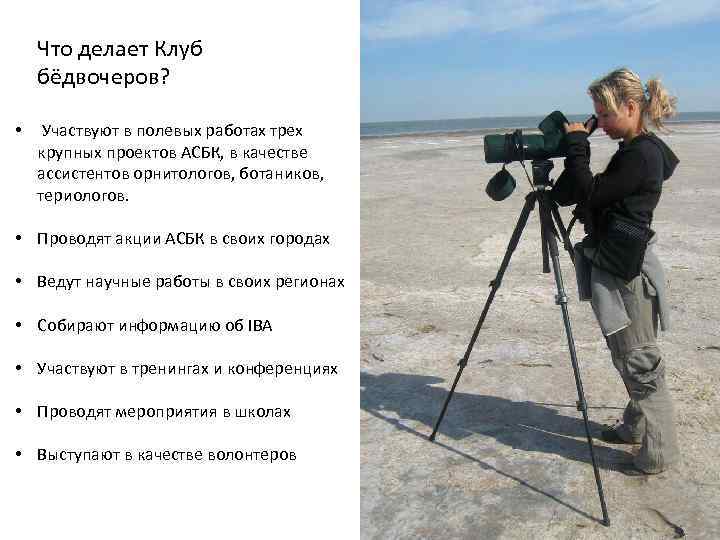 Что делает Клуб бёдвочеров? • Участвуют в полевых работах трех крупных проектов АСБК, в