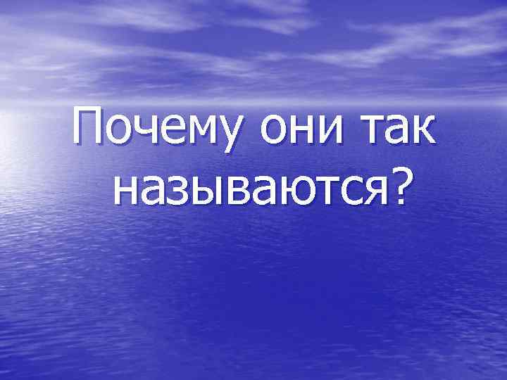 Почему они так называются? 