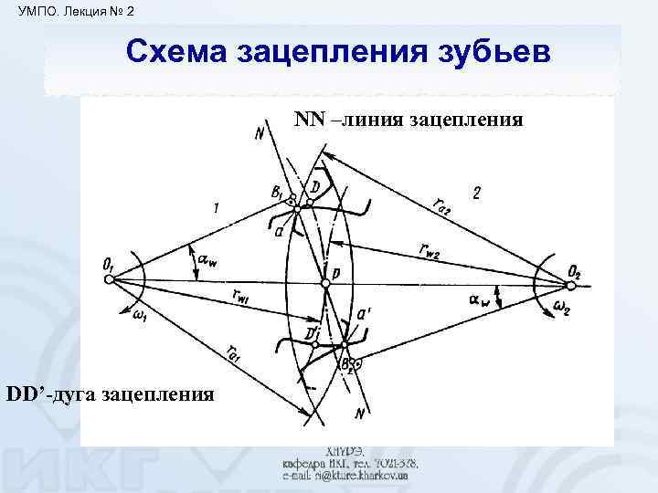 УМПО. Лекция № 2 Схема зацепления зубьев NN –линия зацепления DD’-дуга зацепления 