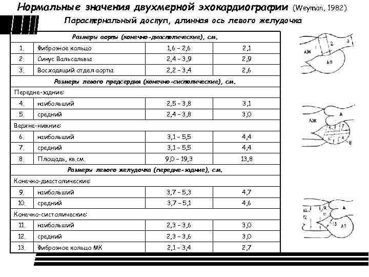 Нормальные значения двухмерной эхокардиографии (Weyman, 1982) Парастернальный доступ, длинная ось левого желудочка Размеры аорты