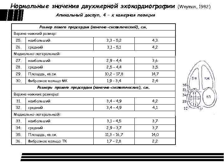 Эхокг в таблицах и схемах рыбакова