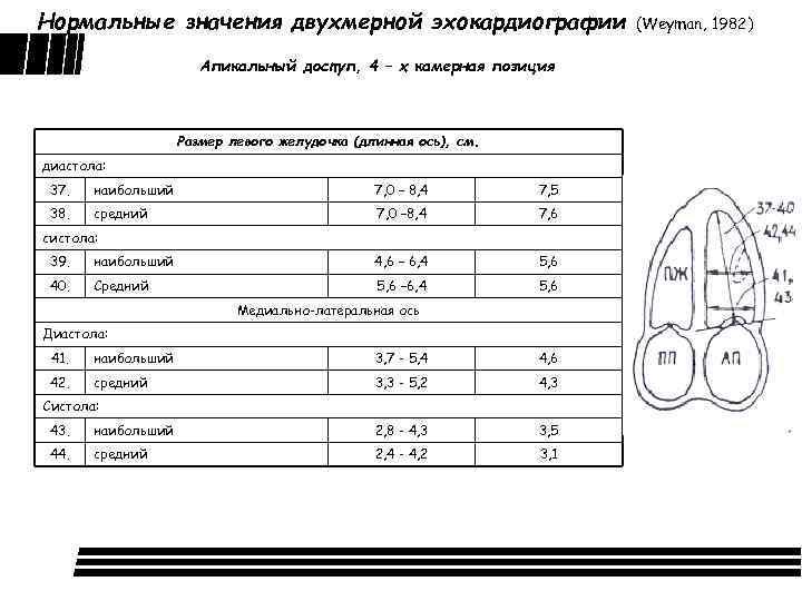 Нормальные значения двухмерной эхокардиографии Апикальный доступ, 4 – х камерная позиция Размер левого желудочка