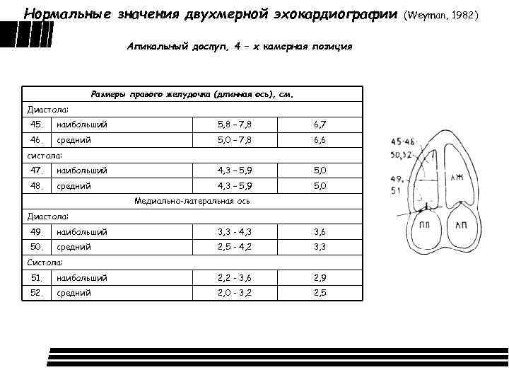 Нормальные значения двухмерной эхокардиографии Апикальный доступ, 4 – х камерная позиция Размеры правого желудочка