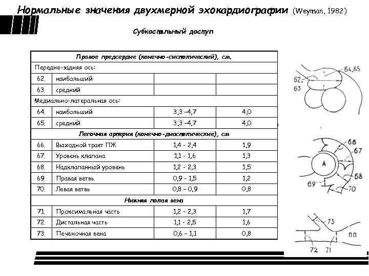 Учебный план эхокардиография