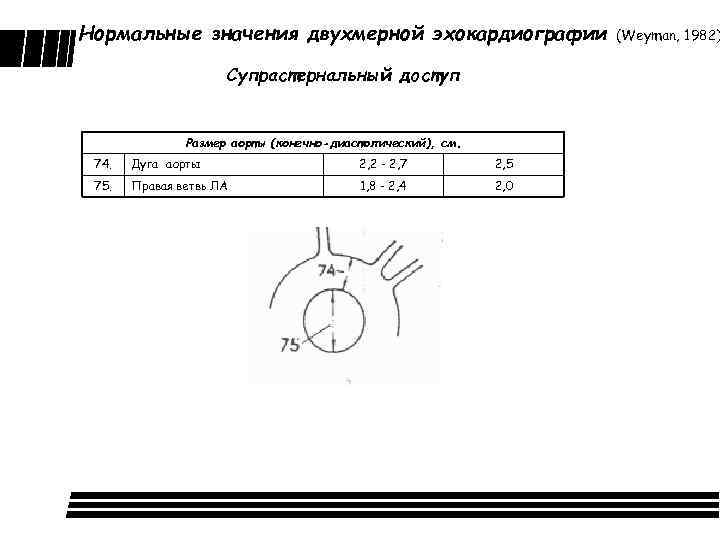 Нормальные значения двухмерной эхокардиографии Супрастернальный доступ Размер аорты (конечно-диастолический), см. 74. Дуга аорты 2,