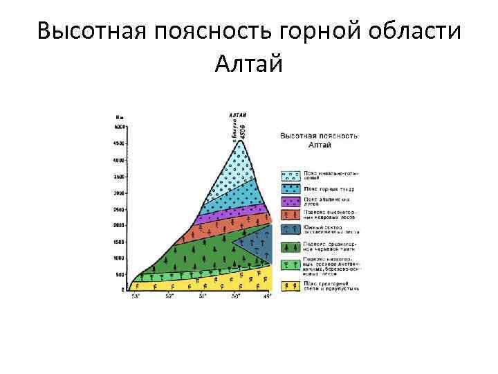 Природные зоны гор алтая таблица. Схема ВЫСОТНОЙ поясности алтайских гор. Высотная поясность в горах Алтая. Высотная поясность горной системы Алтая. Высотная поясность срединного хребта.