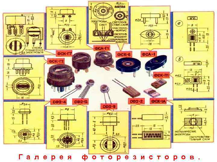 Г а л е р е я ф о т о р е з