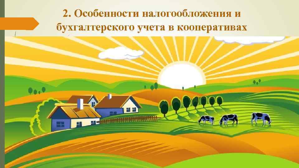 2. Особенности налогообложения и бухгалтерского учета в кооперативах 