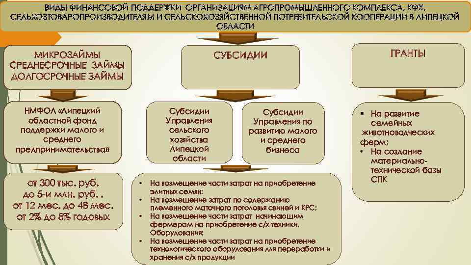 ВИДЫ ФИНАНСОВОЙ ПОДДЕРЖКИ ОРГАНИЗАЦИЯМ АГРОПРОМЫШЛЕННОГО КОМПЛЕКСА, КФХ, СЕЛЬХОЗТОВАРОПРОИЗВОДИТЕЛЯМ И СЕЛЬСКОХОЗЯЙСТВЕННОЙ ПОТРЕБИТЕЛЬСКОЙ КООПЕРАЦИИ В ЛИПЕЦКОЙ