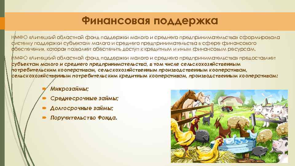 Финансовая поддержка НМФО «Липецкий областной фонд поддержки малого и среднего предпринимательства» сформировала систему поддержки