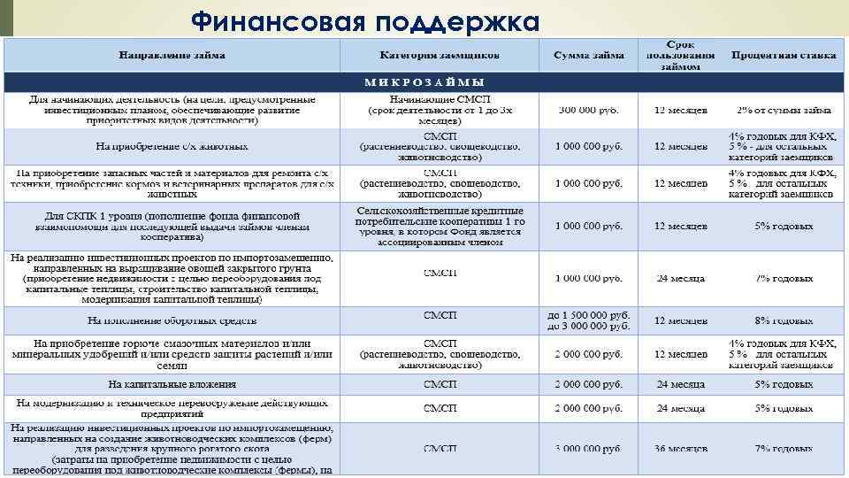 Финансовая поддержка Фонда 