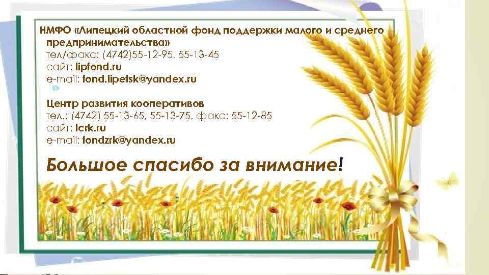 НМФО «Липецкий областной фонд поддержки малого и среднего предпринимательства» тел/факс: (4742)55 -12 -95, 55