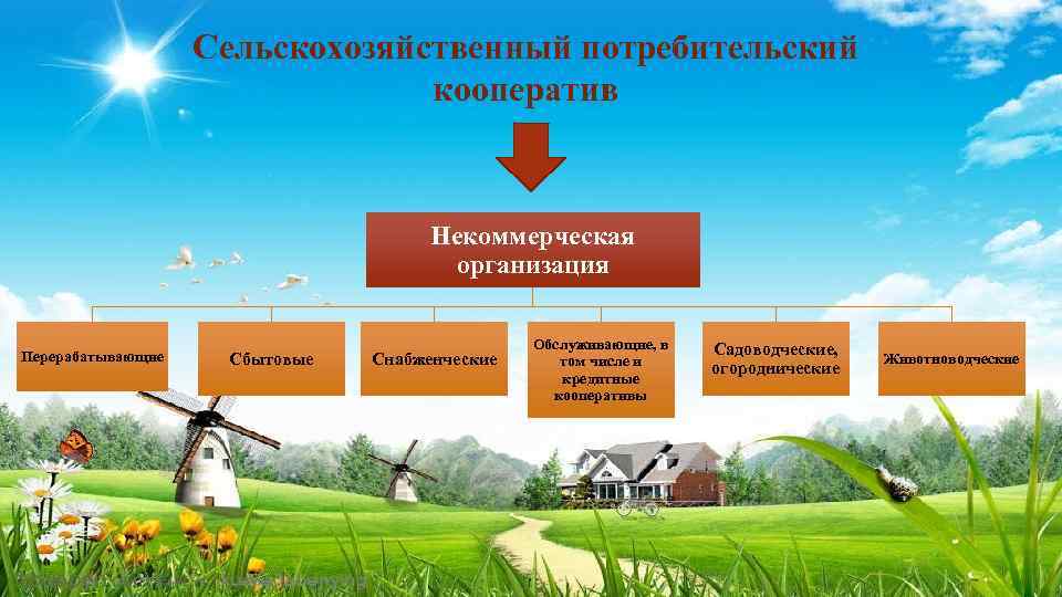 Сельскохозяйственный потребительский кооператив Некоммерческая организация Перерабатывающие Сбытовые Снабженческие Обслуживающие, в том числе и кредитные