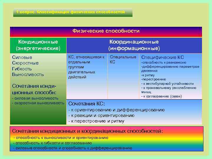 1 вопрос. Классификация физических способностей Физические способности Кондиционные (энергетические) Силовые Скоростные Гибкость Выносливость Координационные