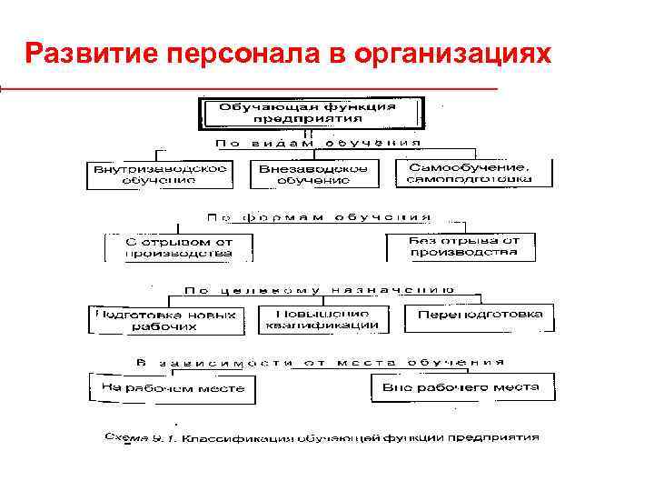 Развитие персонала в организациях 