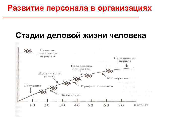 Развитие персонала в организациях Стадии деловой жизни человека 