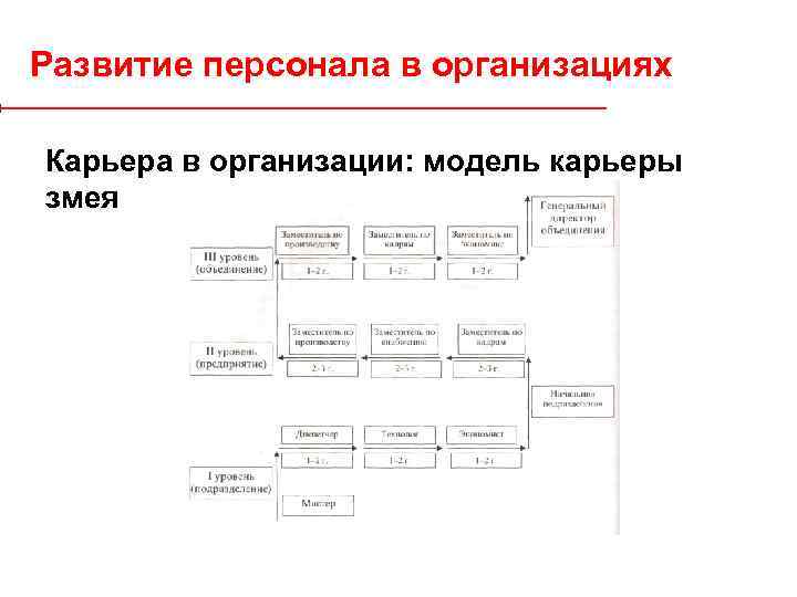 Развитие персонала в организациях Карьера в организации: модель карьеры змея 