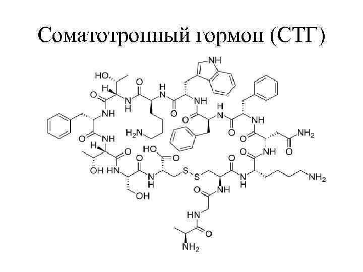 Соматотропный гормон (СТГ) 