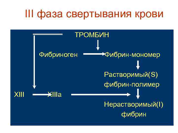 III фаза свертывания крови ТРОМБИН Фибриноген Фибрин-мономер Растворимый(S) фибрин-полимер XIIIa Нерастворимый(I) фибрин 