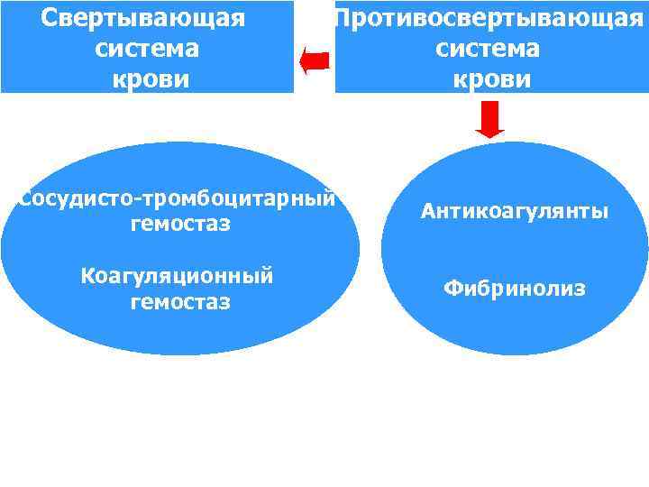 Свертывающая система крови Противосвертывающая система крови Сосудисто-тромбоцитарный гемостаз Антикоагулянты Коагуляционный гемостаз Фибринолиз 