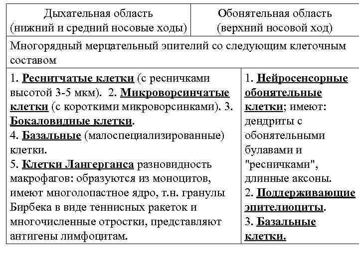 Дыхательная область (нижний и средний носовые ходы) Обонятельная область (верхний носовой ход) Многорядный мерцательный
